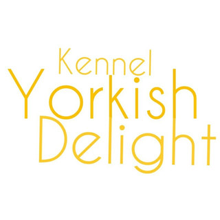 Kennel Yorkish Delight